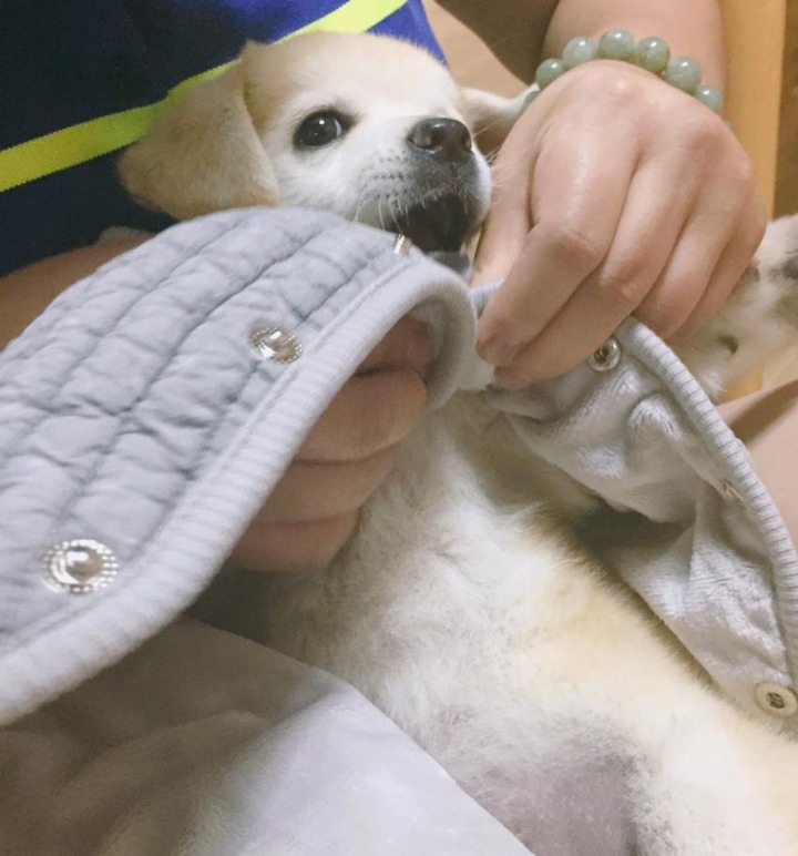 옷 선물 받은 짱절미.jpgif | 인스티즈
