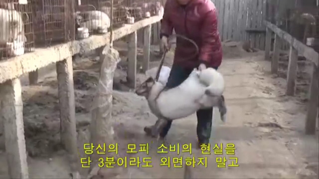 모르고 쓰는거면 몰라도 알면서 쓰는 사람들은 솔직히 인간으로 존중 못하겠는 부분.jpg (혐오주의) | 인스티즈