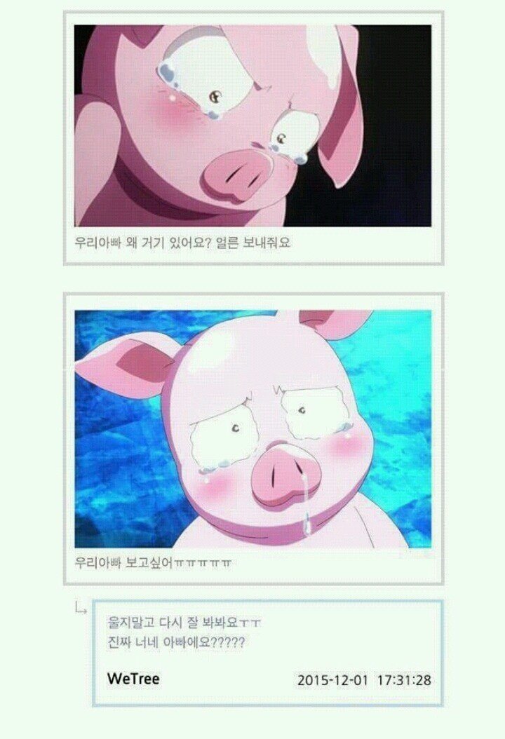 감동적인 사연을 적으면 스팸 5박스를 드립니다.jpg | 인스티즈