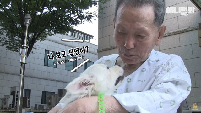 주인님이 열흘 째 문을 열어주지 않아요.. (캡쳐) | 인스티즈