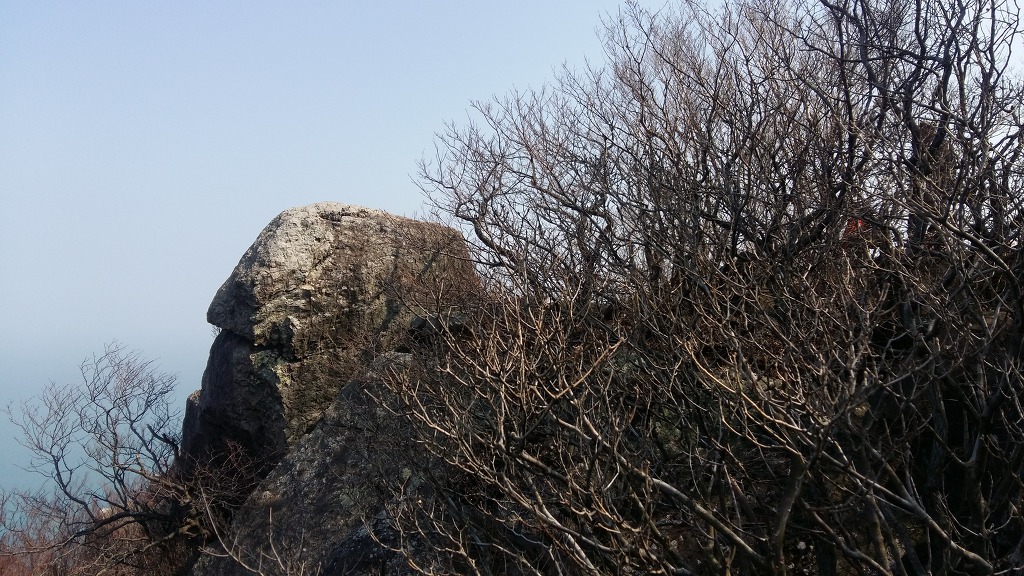 남도바다 이미지