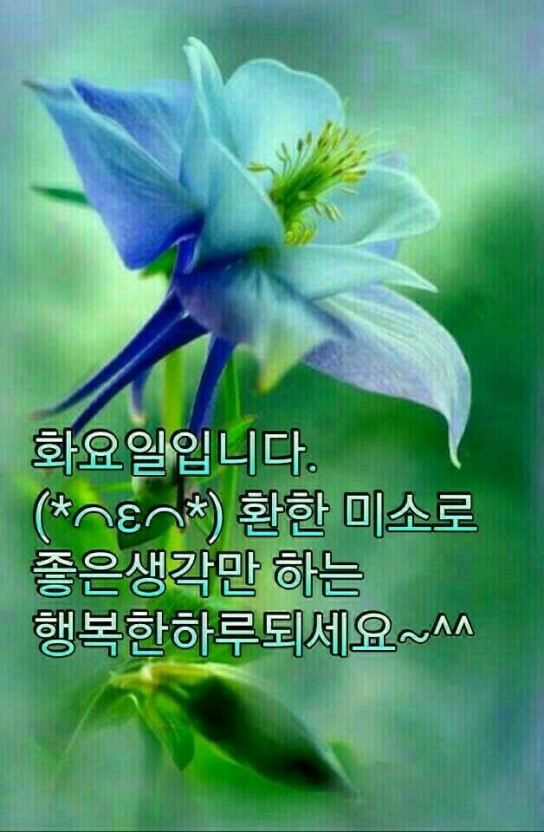 화사한날 이미지