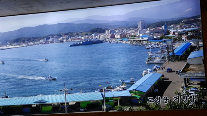 거진항코다리 이미지