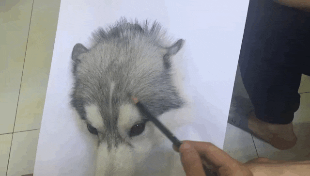 살아 움직일 것 같은 그림.gif | 인스티즈