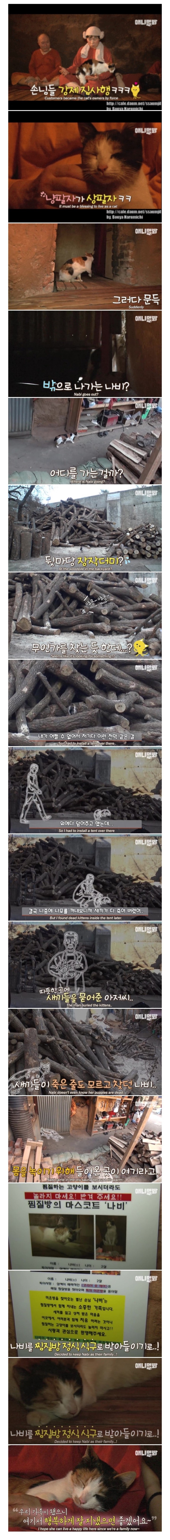 불가마에서 찜질하는 고양이 ㄷㄷ.jpgif | 인스티즈