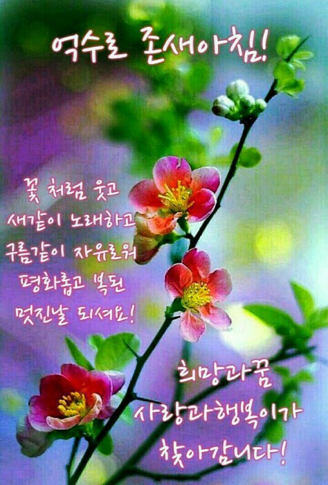 억수로 이미지