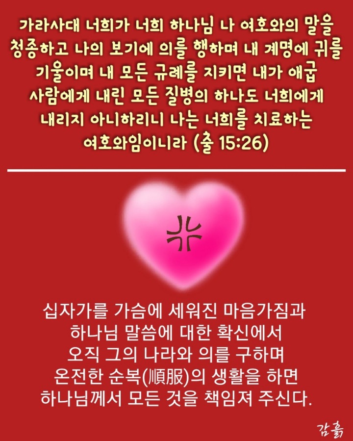 라파 이미지