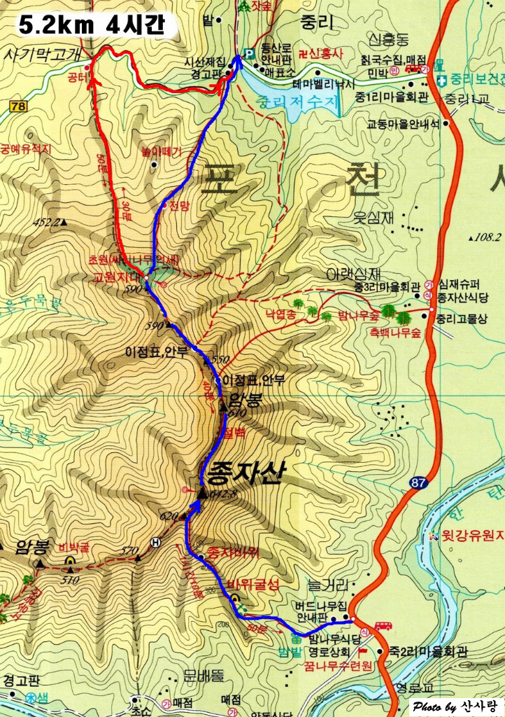 종자산 정상 이미지