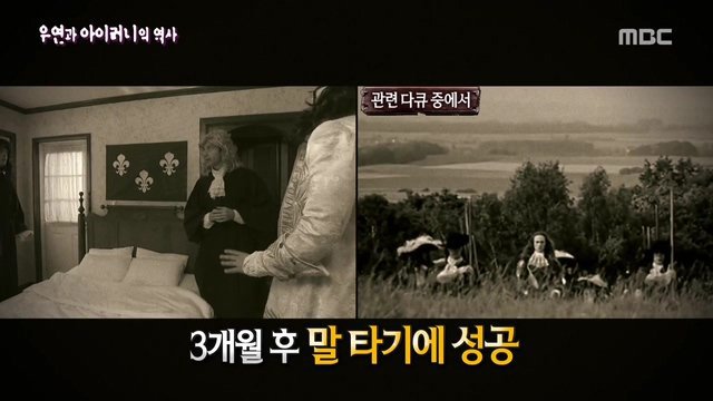 [서프라이즈] 우연과 아이러니의 역사.jpg | 인스티즈