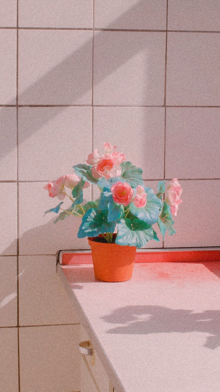 꽃 배경화면 | 인스티즈