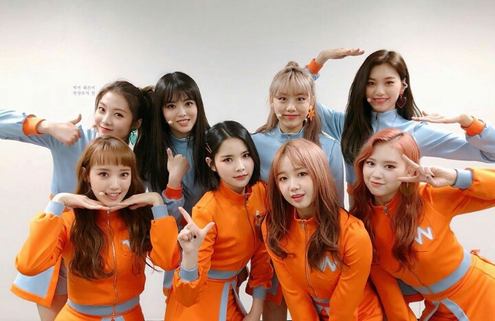 리나 이미지