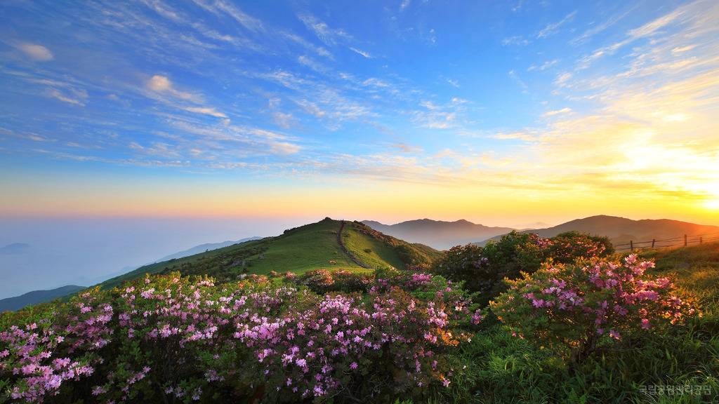 소백산 이미지