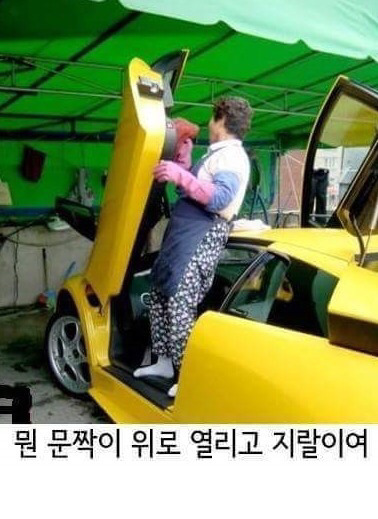 문짝이 위로 열리고 지렁이여 ... | 인스티즈