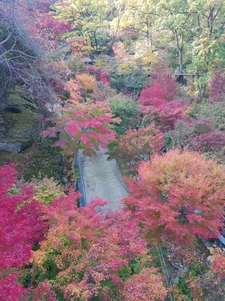 서라영 이미지