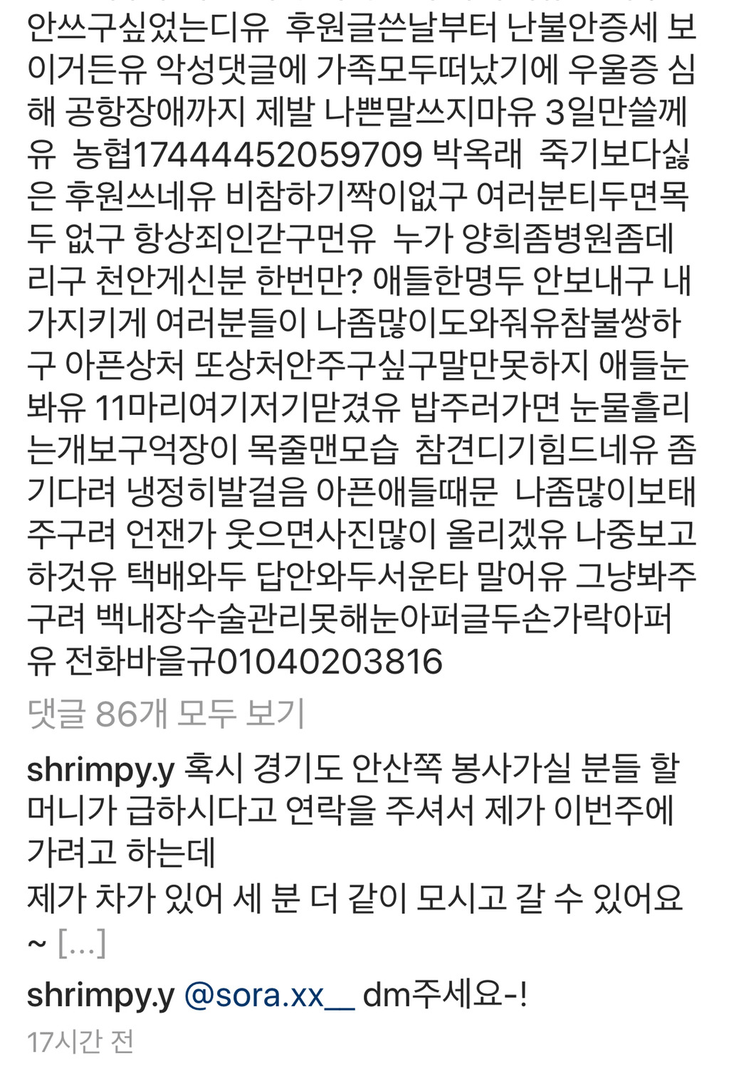 제발 한번만 봐주라,,,😢 유기됐던 댕냥이들과 함께 사는 박옥래 할머님이 많이 힘드셔 | 인스티즈