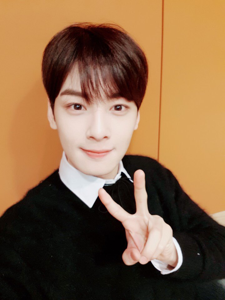 엠씨투어 이미지