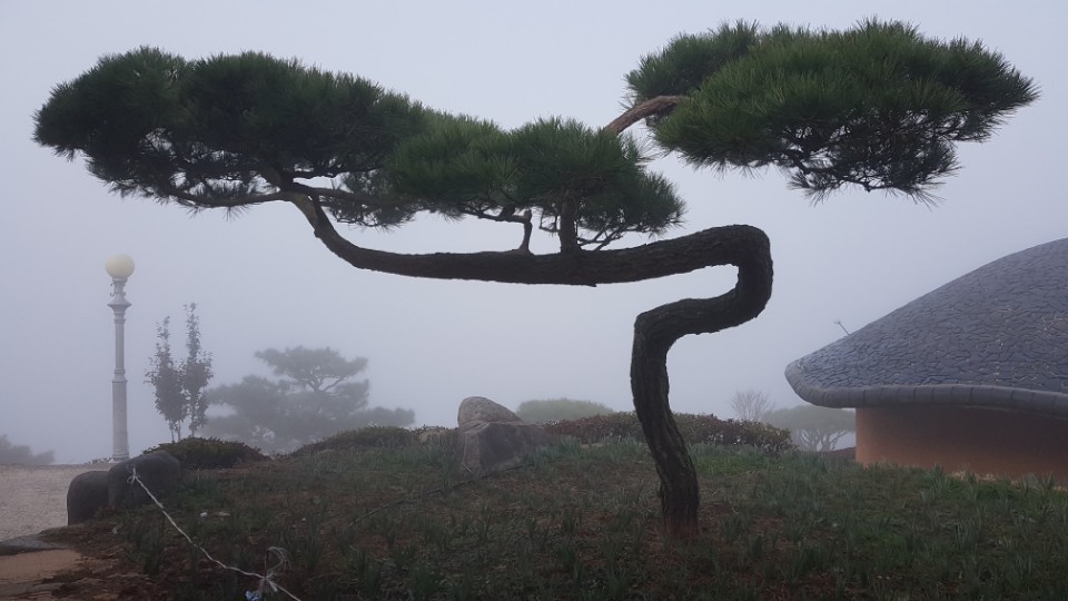 골망태 이미지