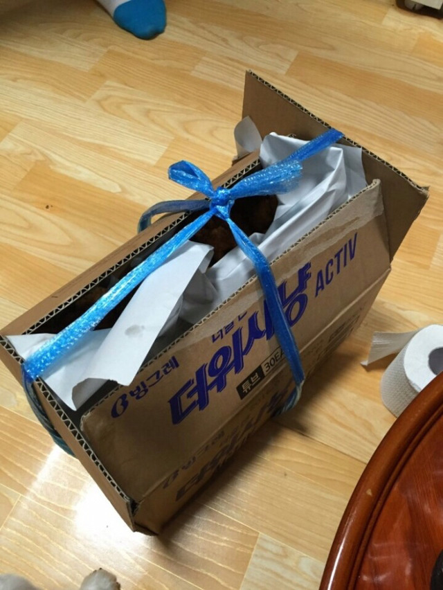 시골 21000원 치킨 .jpg | 인스티즈