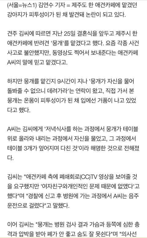 애견호텔 맡긴지 9시간만에 피투성이 돼 돌아온 반려견 | 인스티즈