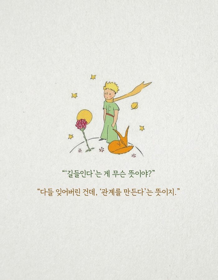 오후;네시 이미지