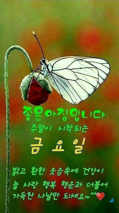 즐거운 이미지