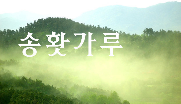 송화 이미지