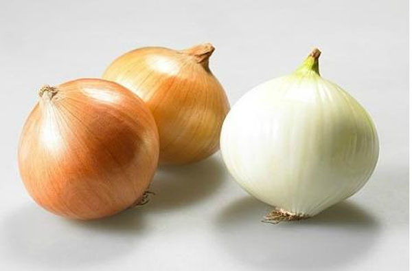 여러분들이 가질 소소한 능력 고르기 | 인스티즈