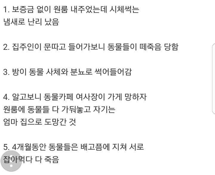 고양이카페 망하자 원룸에 가두고 죽게 만듬 (모자이크 된 사체사진 주의) | 인스티즈