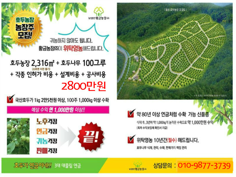 호두나무슈퍼 이미지