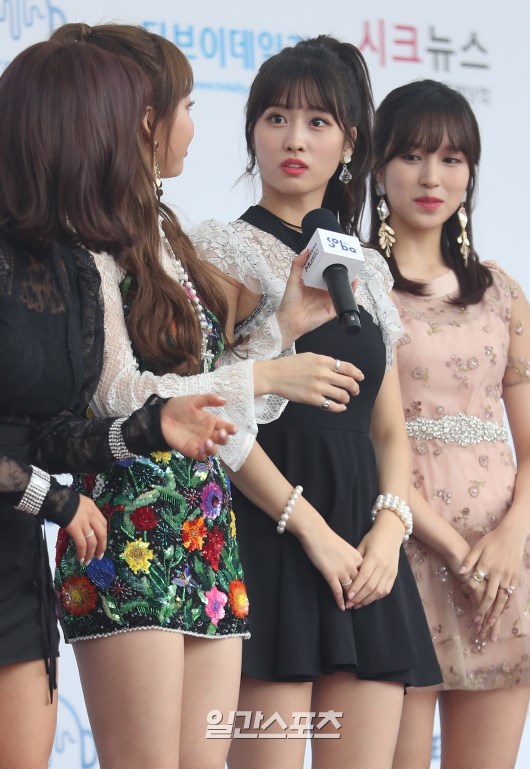 모모 이미지