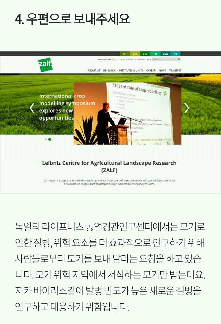 모기로부터 살아남는 5가지 방법 | 인스티즈