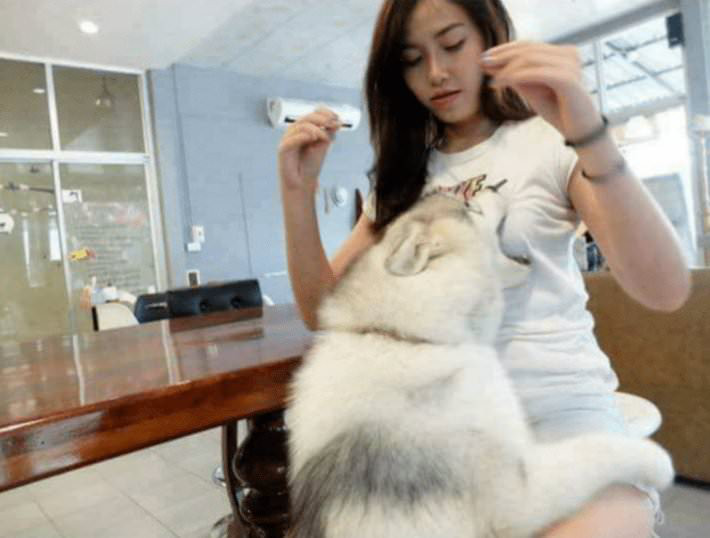 개가 사람을 물었어요! | 인스티즈