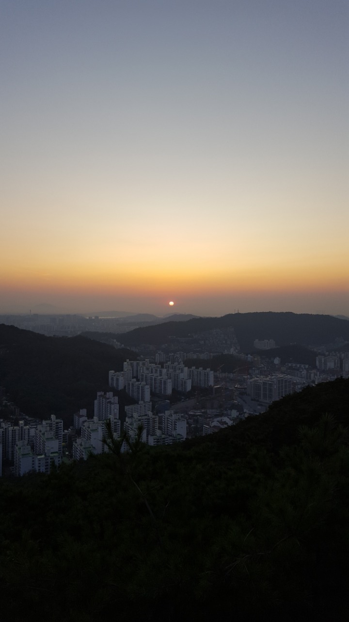 달밤 이미지