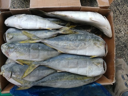 한국상사 이미지