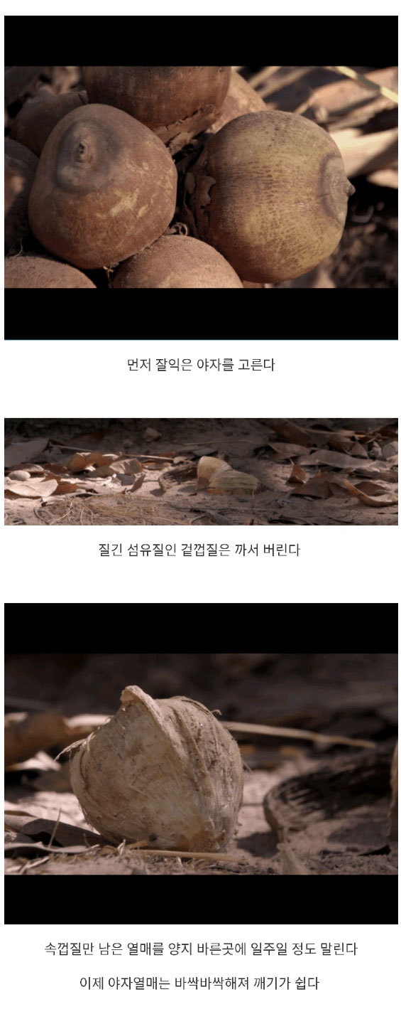 원숭이 진화의 시작 | 인스티즈