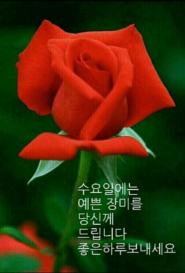 즐거운하루 이미지